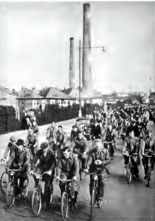 175.jpg