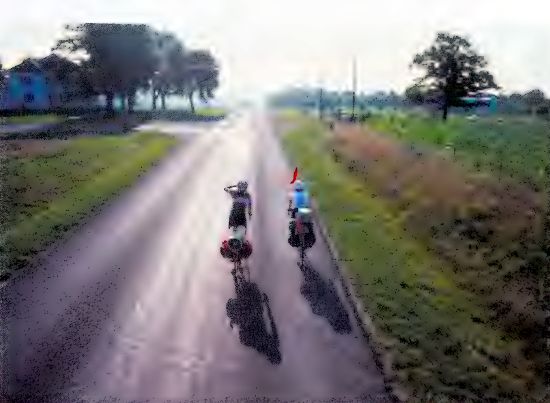 194.jpg