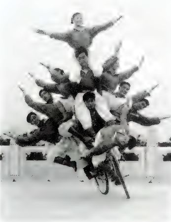 196.jpg