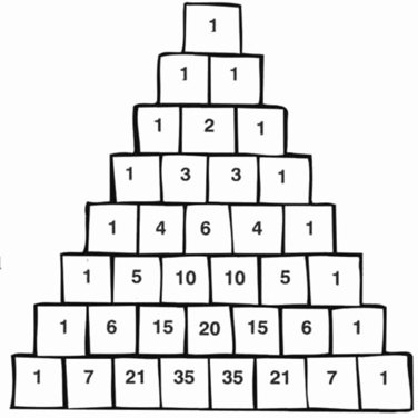 145.jpg