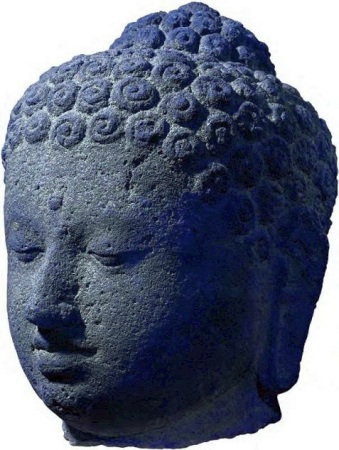 100.jpg