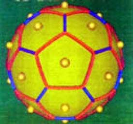 lateral04.jpg