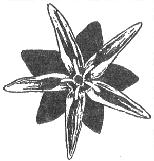 figura08-02