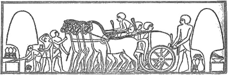 figura33-01.jpg