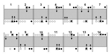 figura36-06.jpg