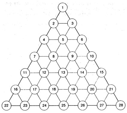 122.jpg