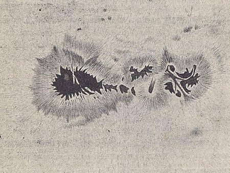 064.jpg