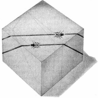 image205.jpg