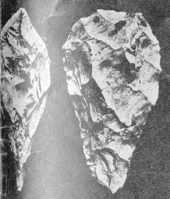 figura13-01.jpg