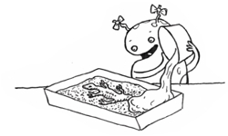 013