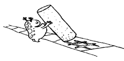 25.jpg
