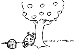 52