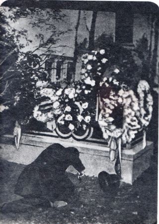 13b.jpg