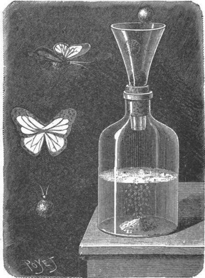 La mariposa automática