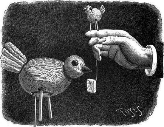 El pájaro en la rama