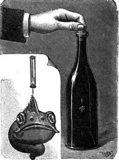 Un microbio en la botella