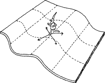 005.png