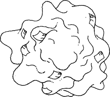 083.png
