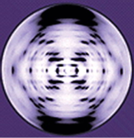 lamina17.jpg