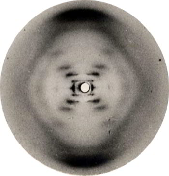 lamina21.jpg