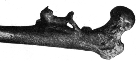 01-10.jpg