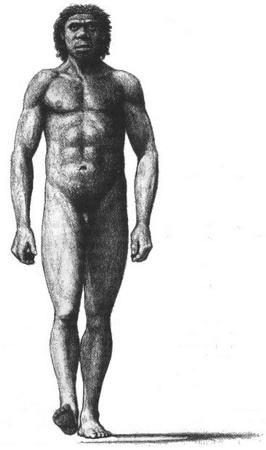 36.jpg