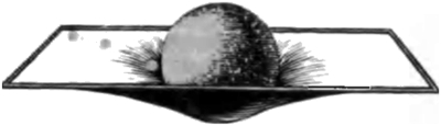 63.jpg