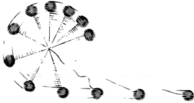 66.jpg