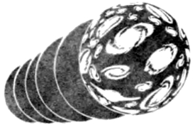 81.jpg