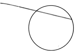84.jpg