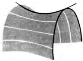 88.jpg