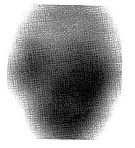 101.jpg