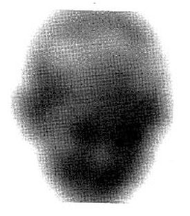 102.jpg