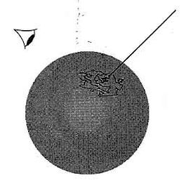 106.jpg