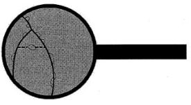 147.jpg