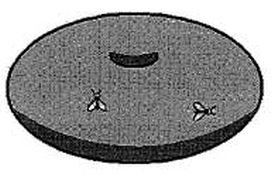 153.jpg