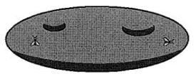 154.jpg