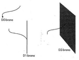 193.jpg