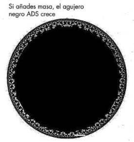 205.jpg