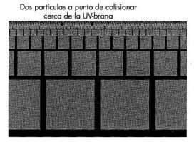 219.jpg