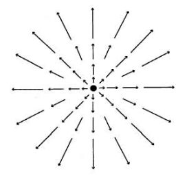 223.jpg