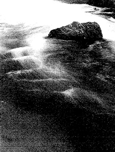 061.jpg