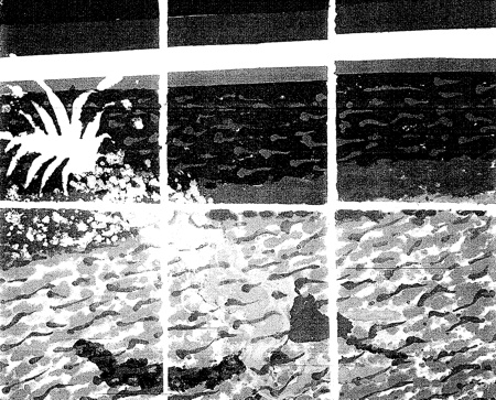 063.jpg