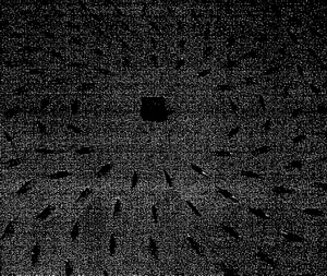 113.jpg