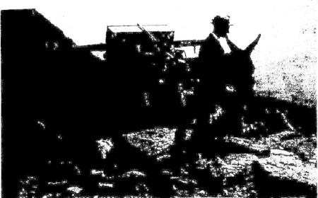 097.jpg