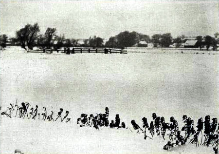 137.jpg