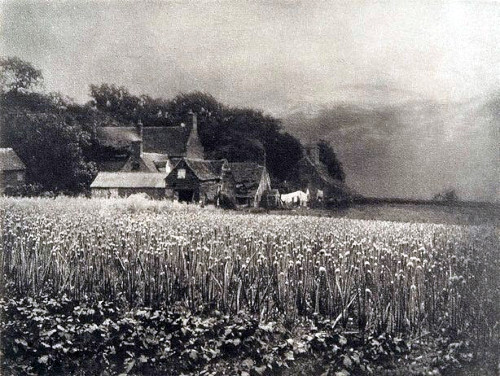 138.jpg