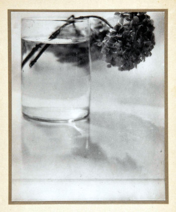 154.jpg
