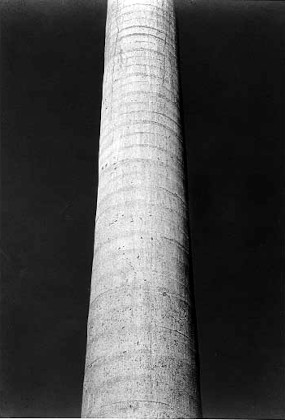 173.jpg