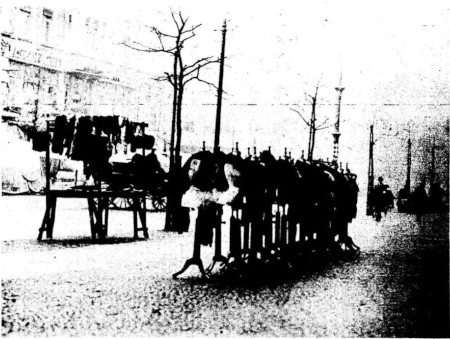 186.jpg